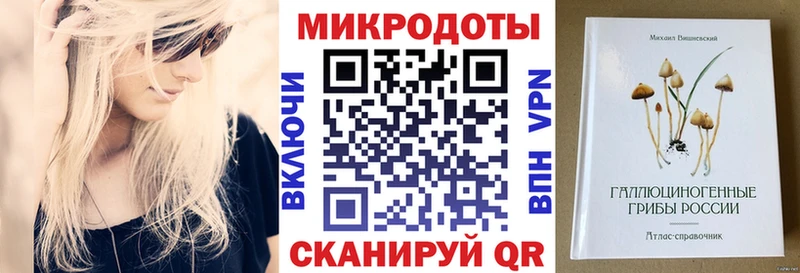 мориарти клад  Павлово  Галлюциногенные грибы ЛСД 